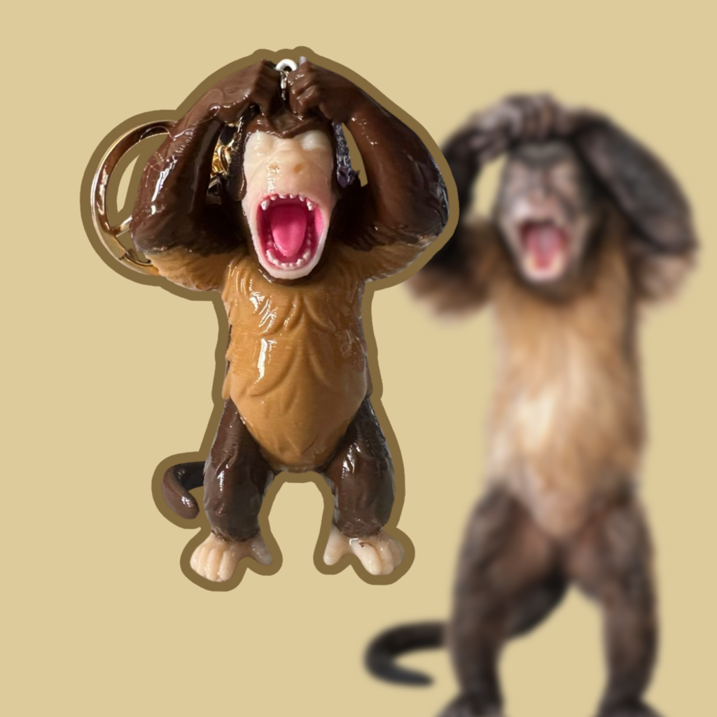 pack 6 sin repetidos serie 1