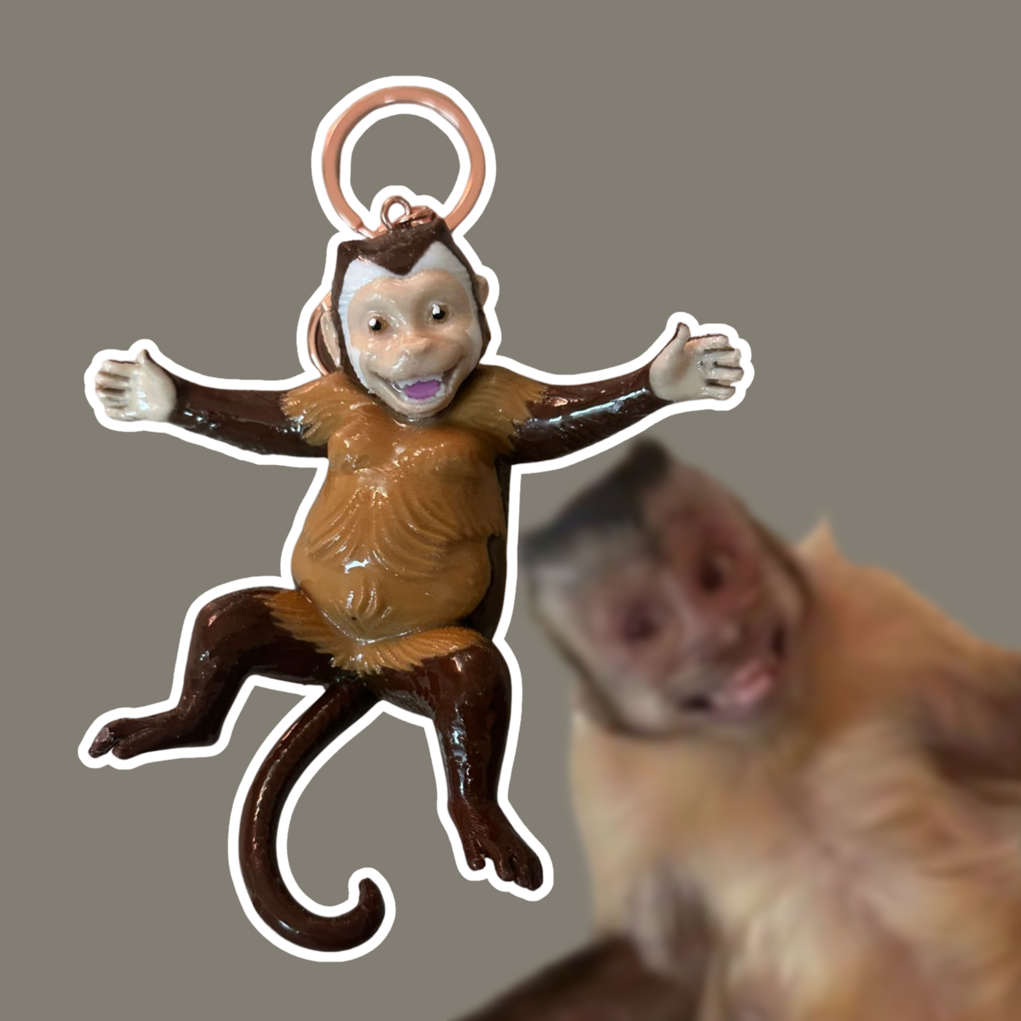 pack 6 sin repetidos serie 1